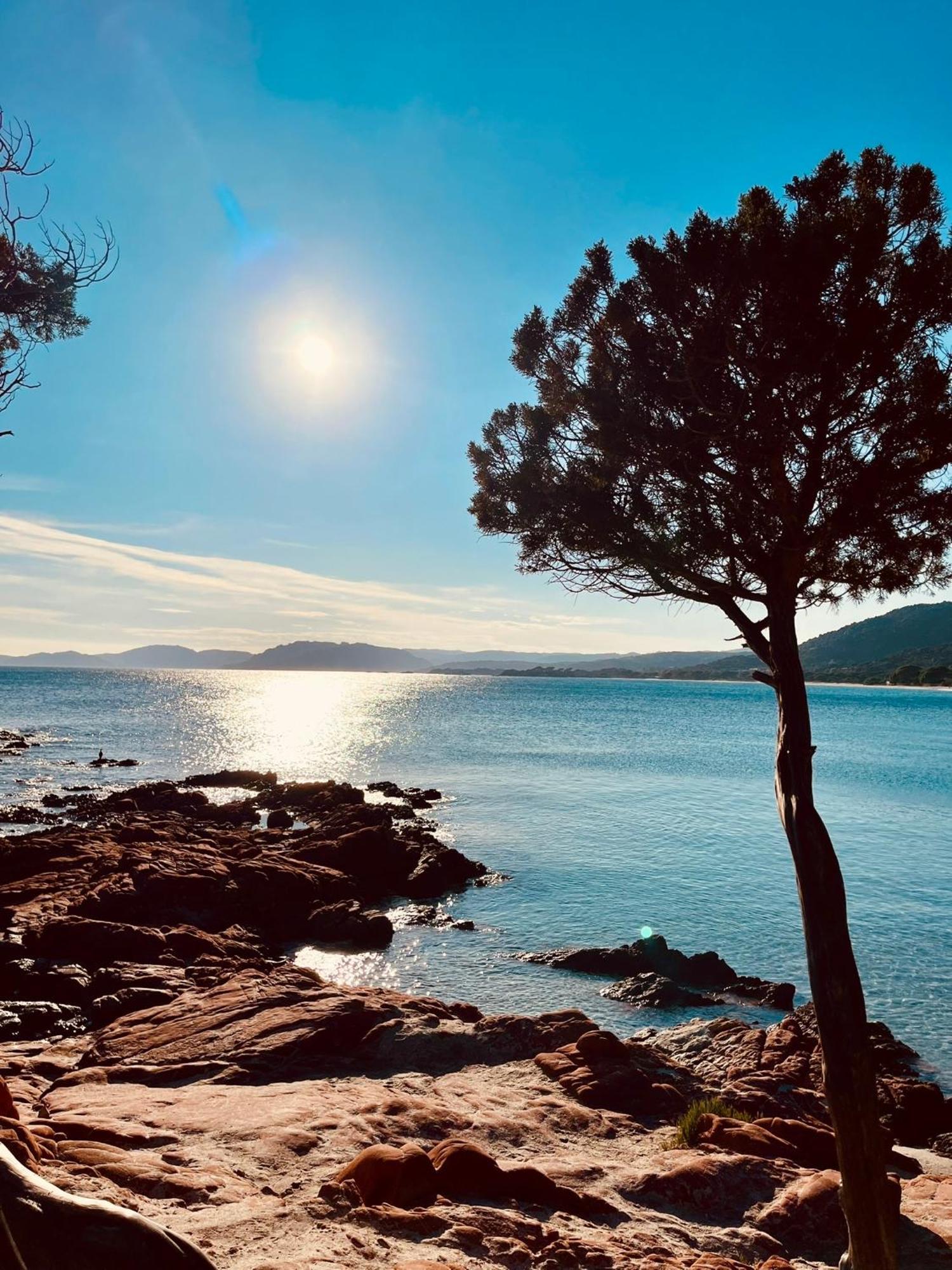 Villa Le Corail Rouge Corse Леччі Екстер'єр фото